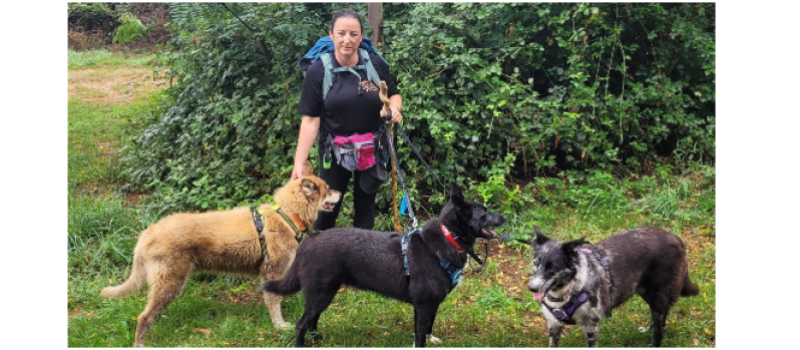 Faire le chemin de Compostelle  avec six chiens, la belle aventure d'Aurélie!