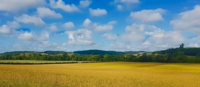 Mise en place du nouveau zonage FRR : une opportunité majeure pour le développement économique des territoires ruraux
