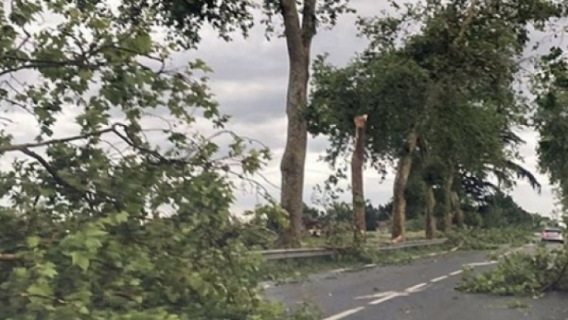 Tempête Kirk: Réouverture de l’ensemble des routes départementales du Gers