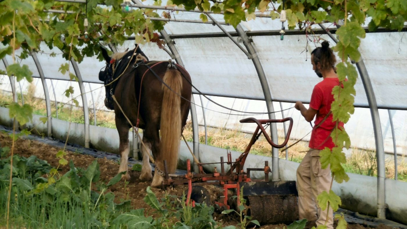 Festi'Ferme, une belle journée dédiée à une agriculture responsable