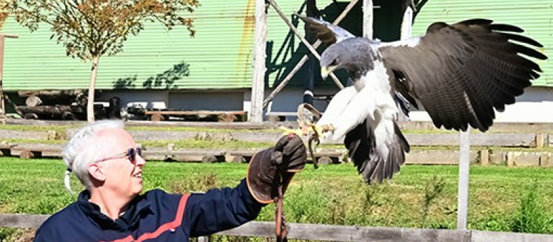 Pompiers et Gendarmes gersois prennent soin de la faune sauvage