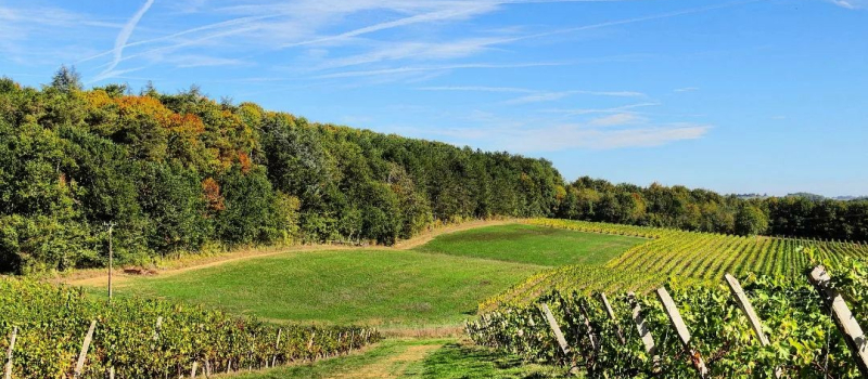 Près de 130 animations dans les vignobles d’Occitanie au cours du Fascinant Week-End