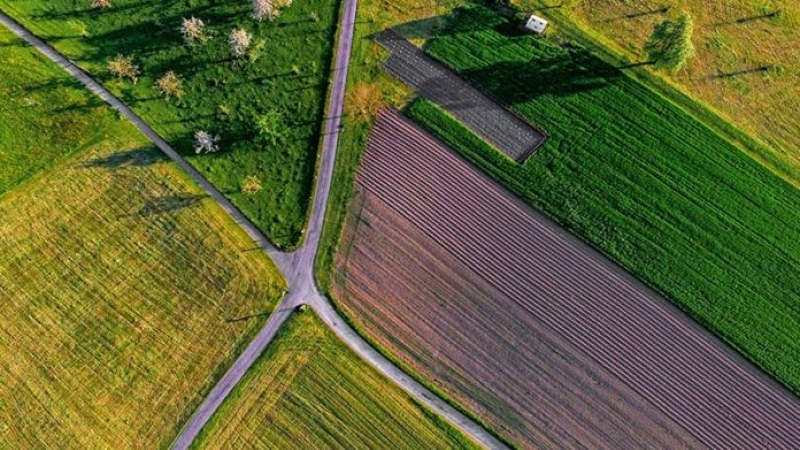 Report de paiement de taxe foncière sur les propriétés non bâties pour les propriétaires d’exploitations agricoles