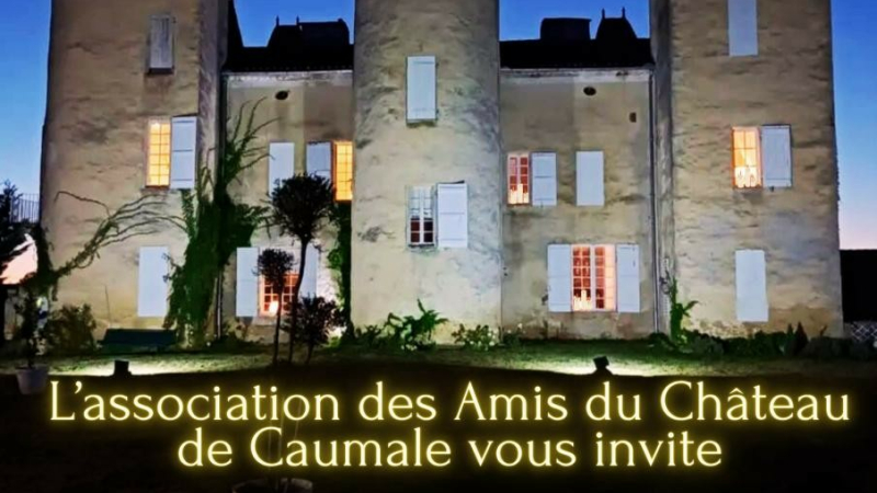 Nuit européenne des châteaux