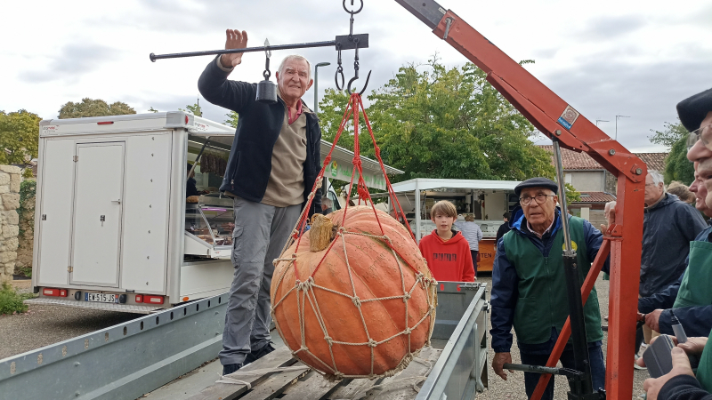 Qui battra le record de la plus grosse citrouille ?