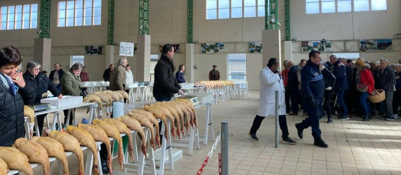 Dimanche faites la grasse matinée