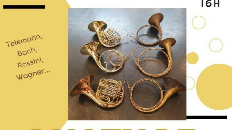 Concert de bienfaisance au son des cors