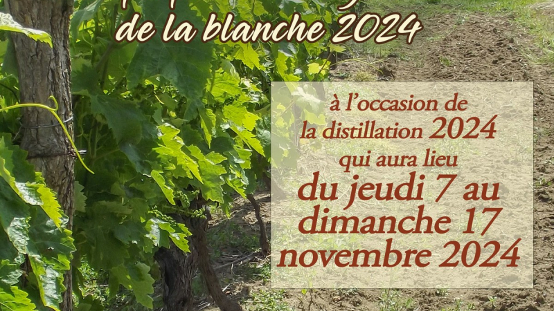 La passion de l'Armagnac