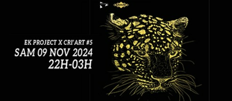 Concert • electro au Cri'Art