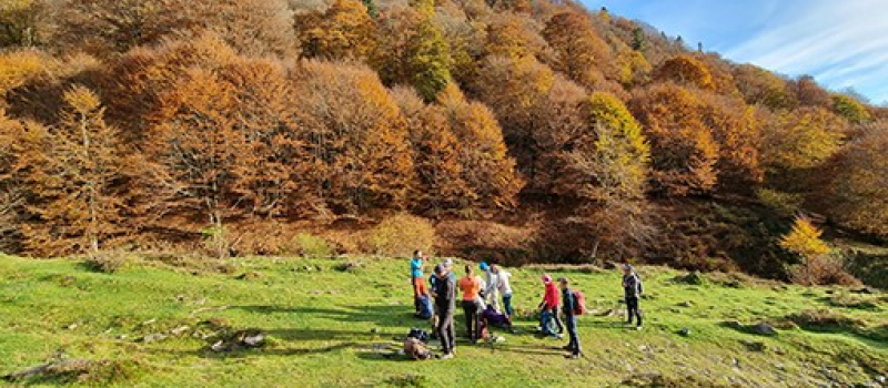 La marmotte gersoise au sommet du Montaigu.