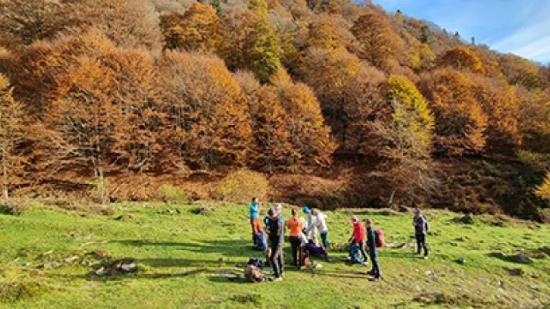 La marmotte gersoise au sommet du Montaigu.