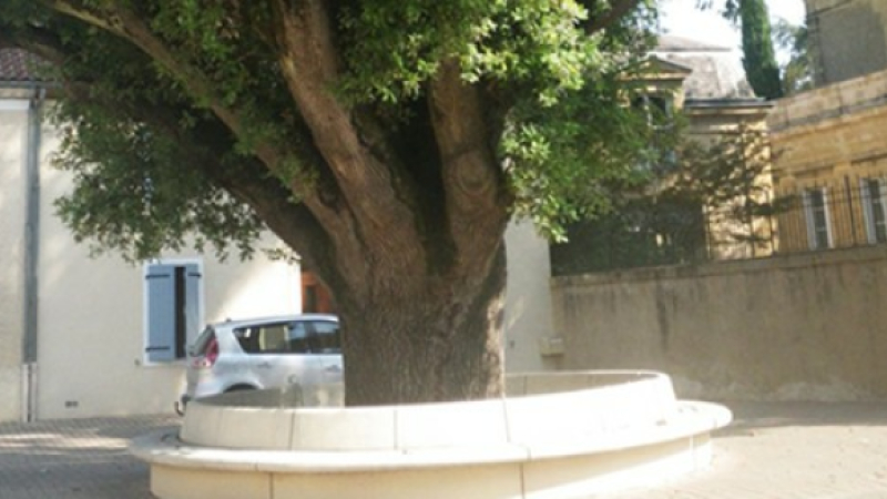 Balade nature dans la sous préfecture