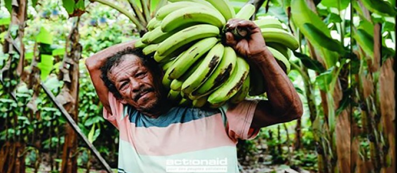 Festival Alimenterre: «Ensemble, cultivons un avenir sans faim.»