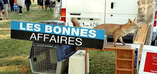 Vinneuf-FR-89-vide_greniers_2017-a07.jpg