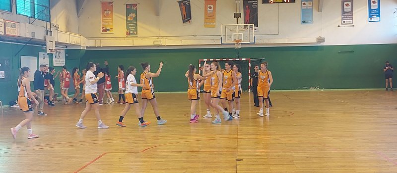 UAV Basket : venez soutenir les trois équipes seniors qui jouent à domicile !