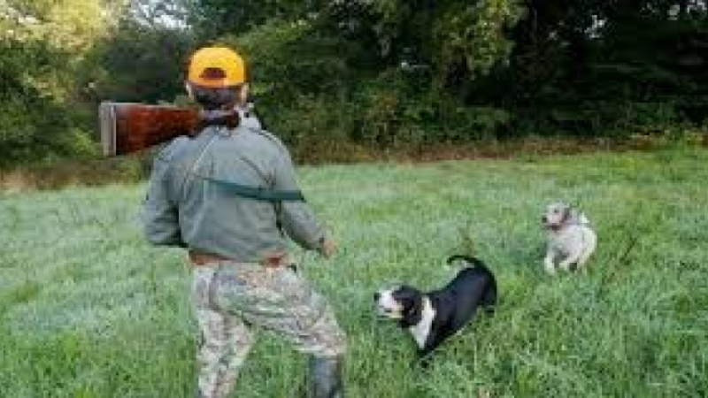 Les chasseurs gersois consultés par voie dématérialisée