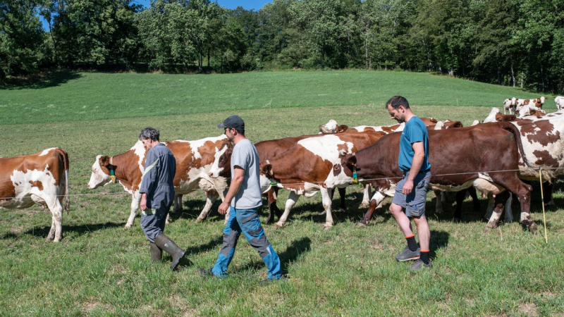 Une soirée au cinéma pour échanger sur la ruralité