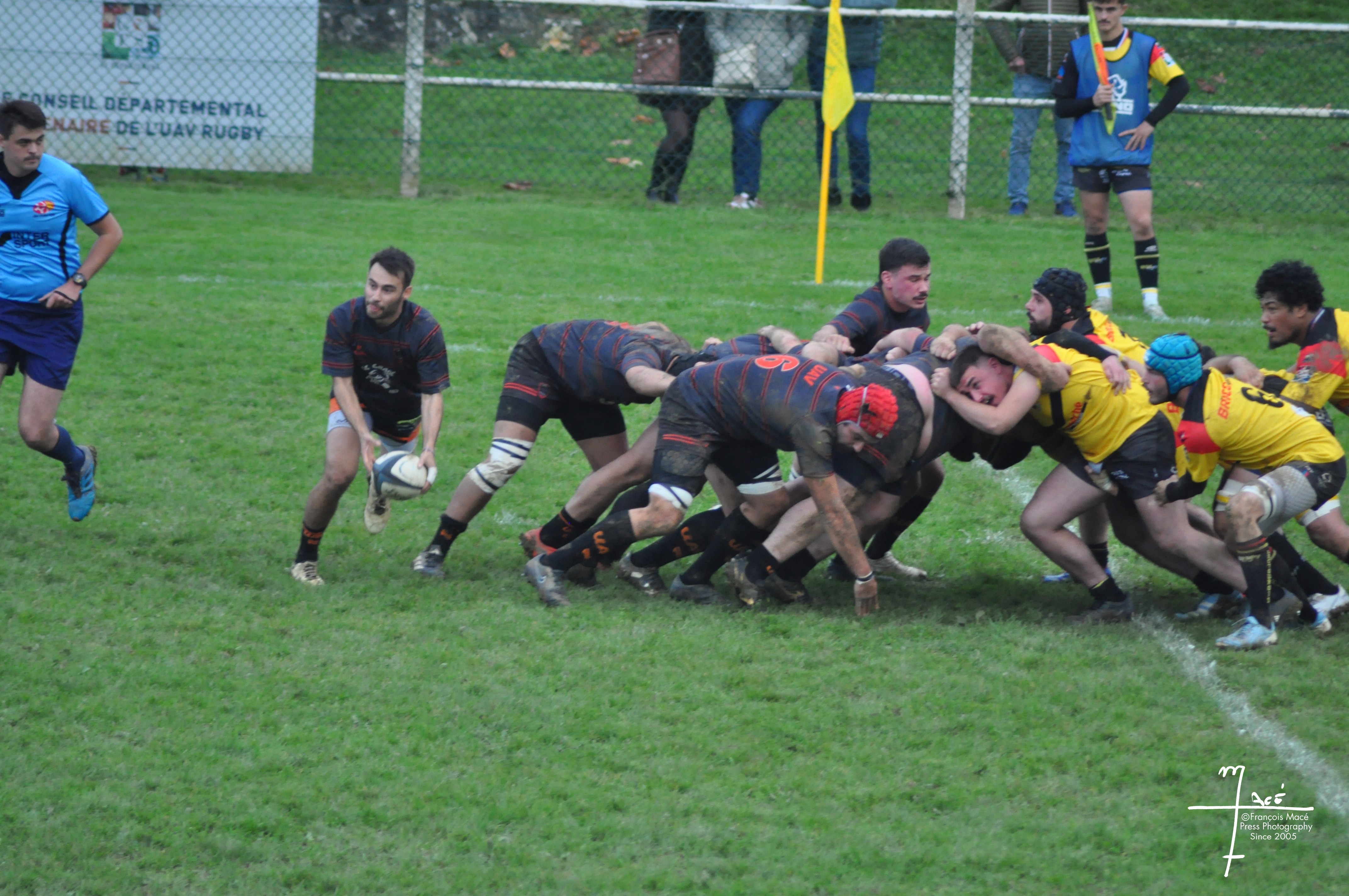 DSC_0645.jpg