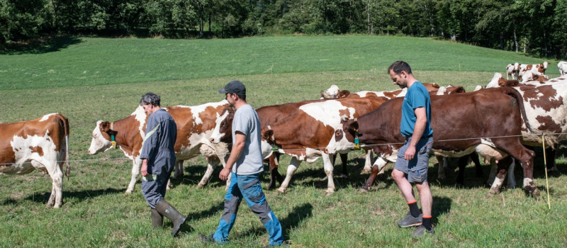 Cinequanon : programmation de la semaine et un cine-débat autour de la ruralité vendredi