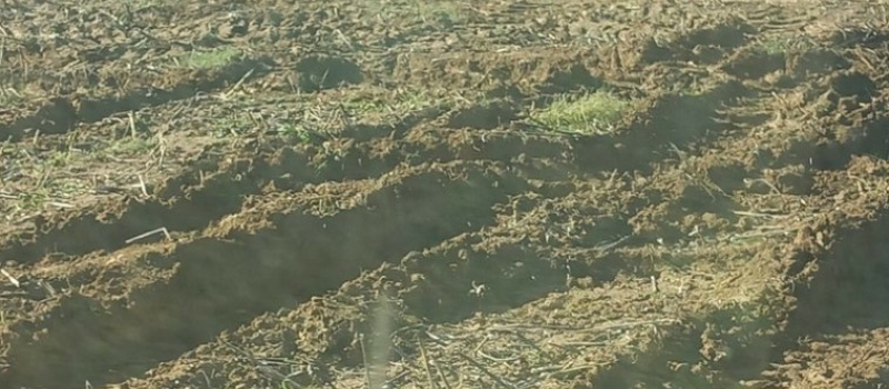 Dérogation aux couvertures automnales des sols agricoles hors zone vulnérable