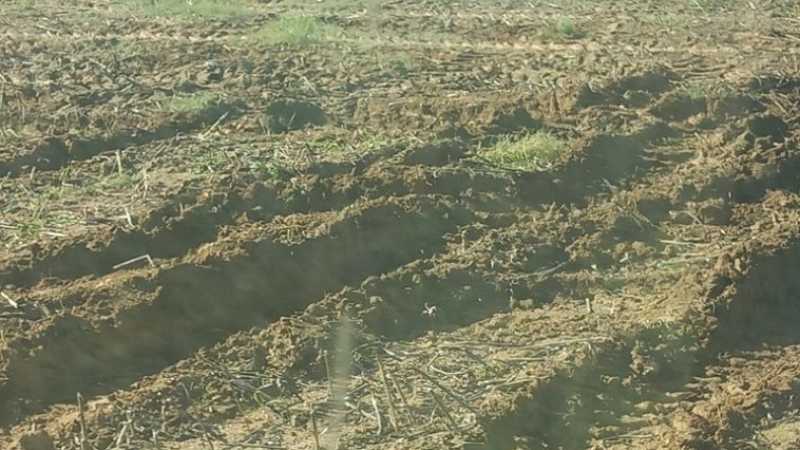 Dérogation aux couvertures automnales des sols agricoles hors zone vulnérable