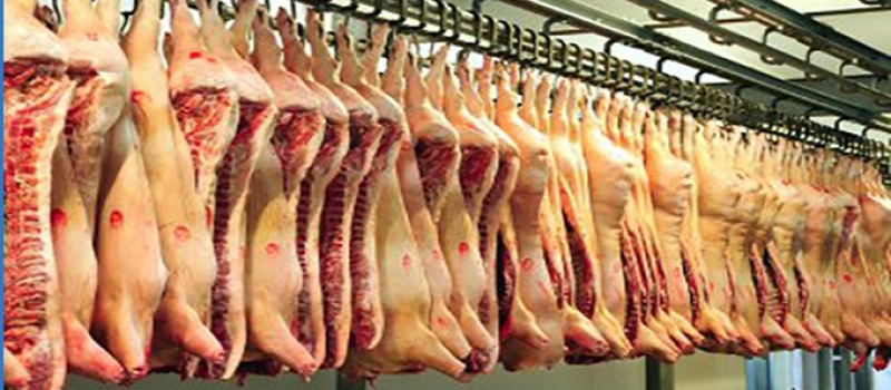Abattoir d’Auch : Une bonne nouvelle pour les éleveurs