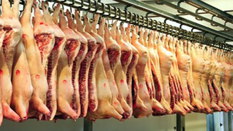 Abattoir d’Auch : Une bonne nouvelle pour les éleveurs