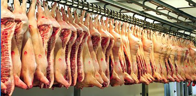 abattoirs 14.jpg