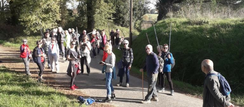 Elusa rando et ses randonnées pédestres