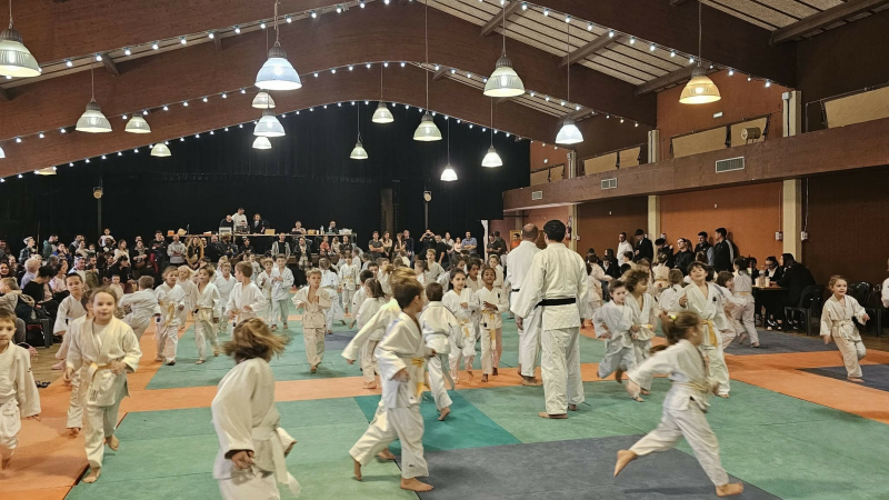 Criterium de judo : une belle journée sur les tatamis !