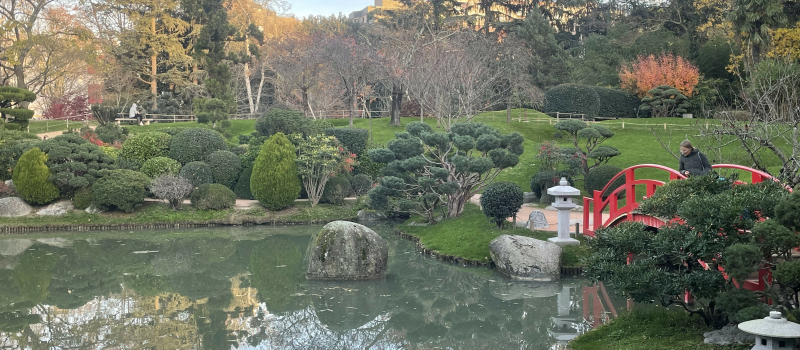 La chronique de Neyla : le jardin japonais, art et tradition asiatique au coeur de Toulouse