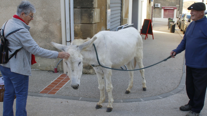 Avez-vous vu Berroy ?