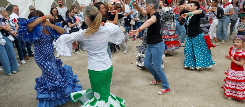 Prochain stage de sévillanes samedi !