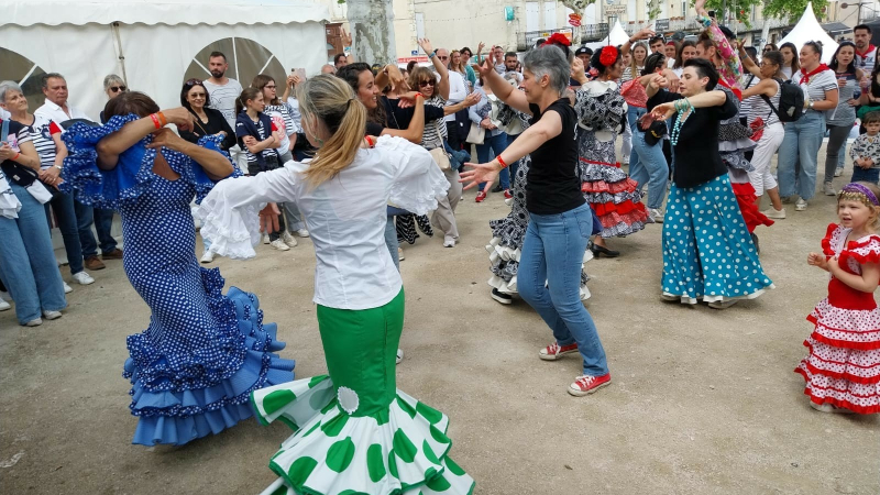Prochain stage de sévillanes samedi !