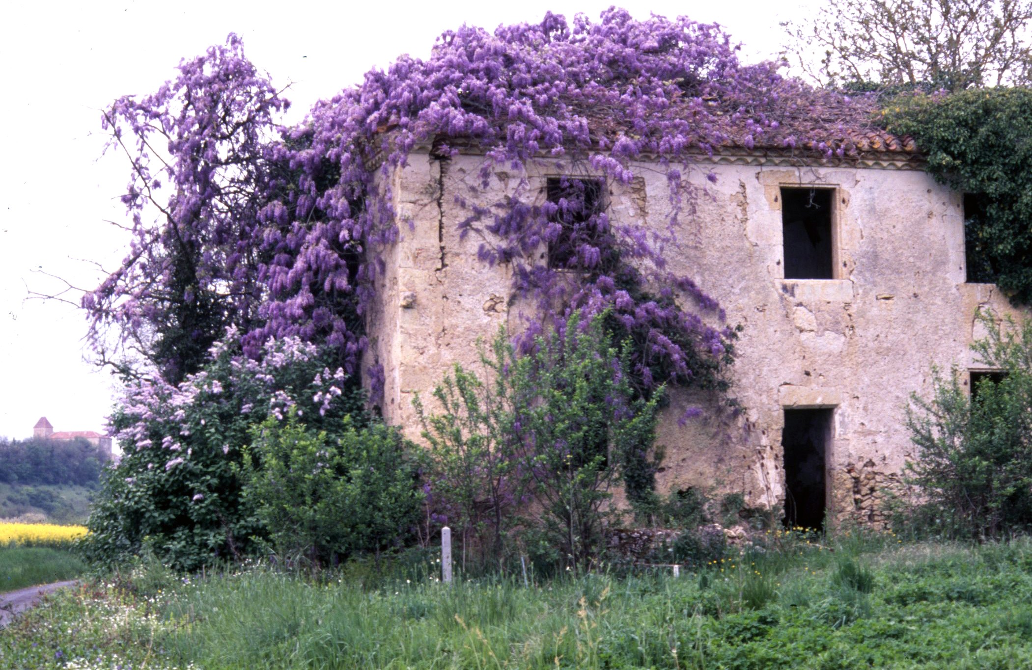 img20240912_14320961.jpg