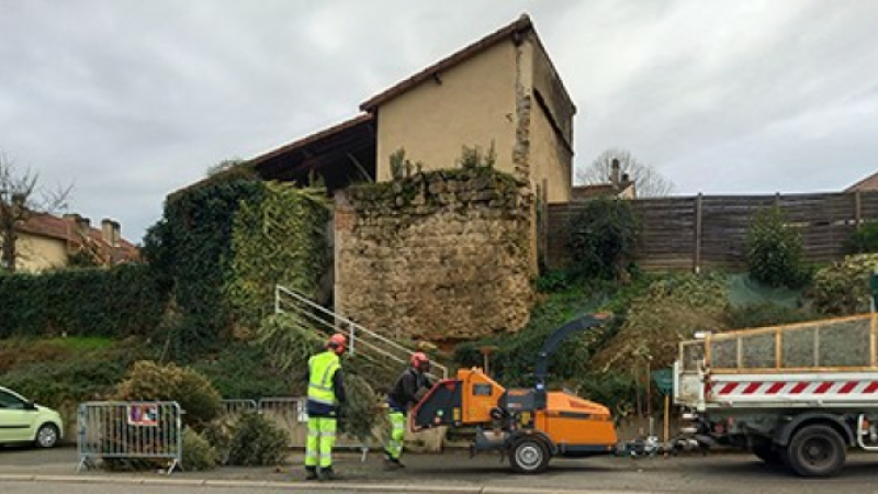 Recyclage de vos sapins