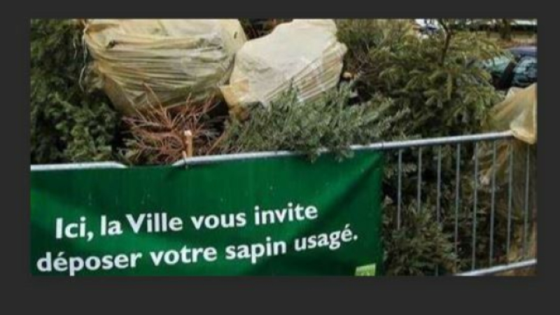 Après les fêtes, offrez une seconde vie à votre sapin entre le 3 et 27 janvier