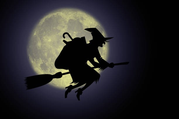 istockphoto-844136500-612x612.jpg
