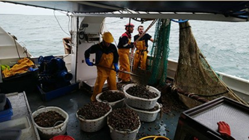 fermeture de la pêche dans le Golfe de Gascogne