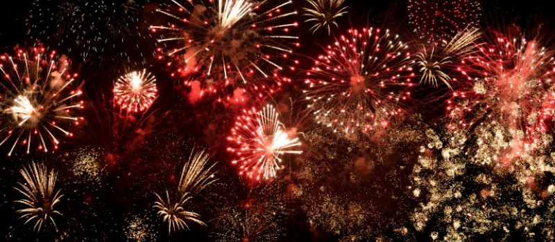 Feux d'artifice et animaux : les conseils de la SPA