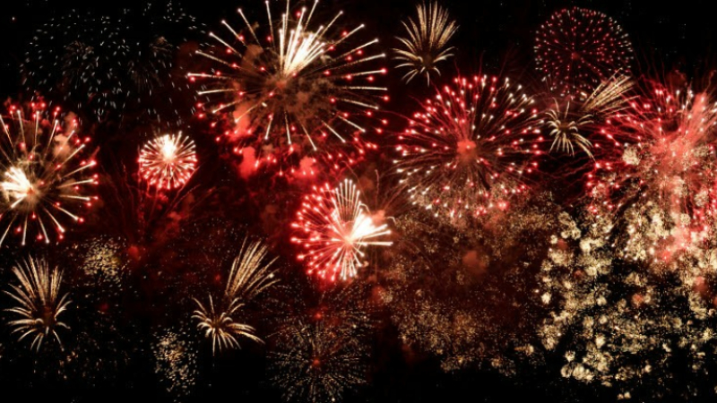 Feux d'artifice et animaux : les conseils de la SPA