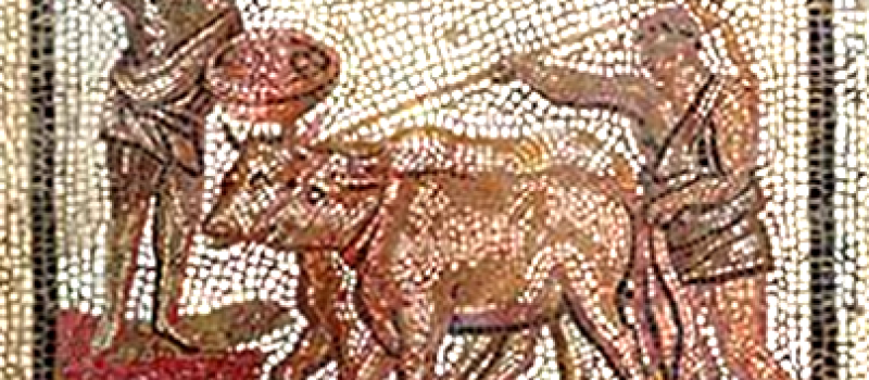 Cycle de conférences sur les dernières découvertes archéologiques : habiter en Gaule durant l'Antiquité.