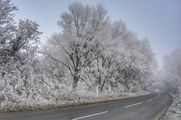 istockphoto-1676413664-612x612.jpg