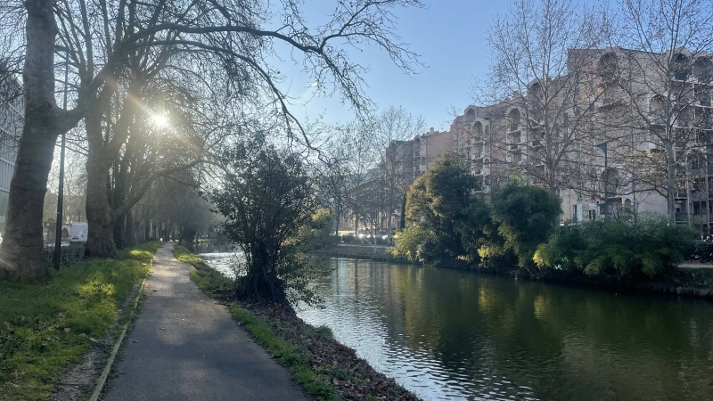 La chronique de Neyla : une balade le long du Canal du Midi, entre nature et détente à Toulouse