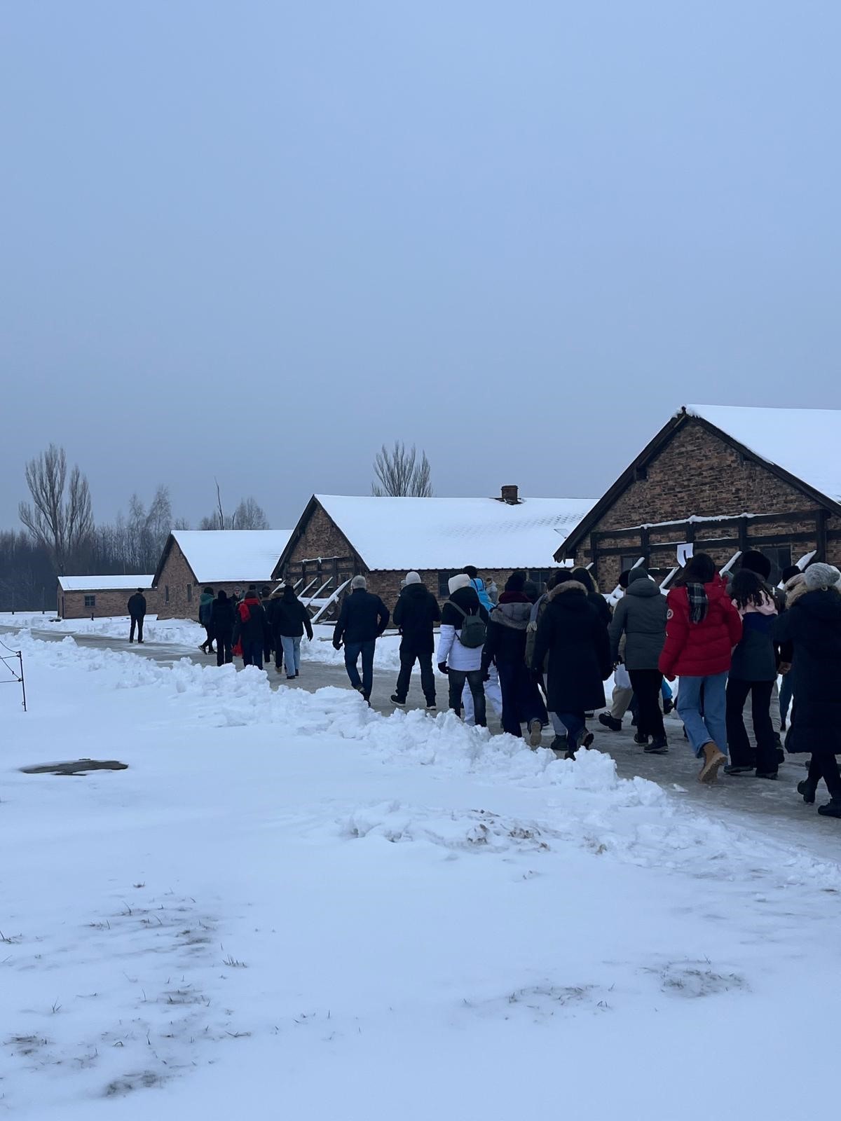 Deplacement-Auschwitz-250115-1.jpg