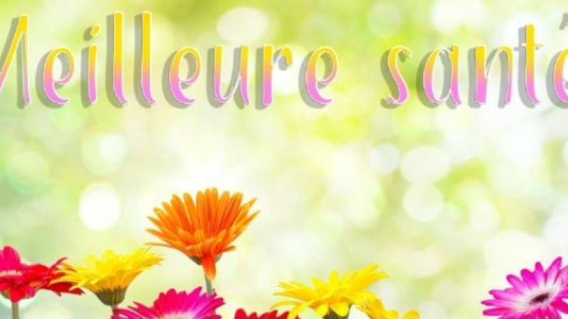 Conférence sur la santé