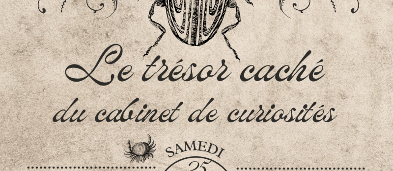 Le trésor caché du cabinet de curiosités