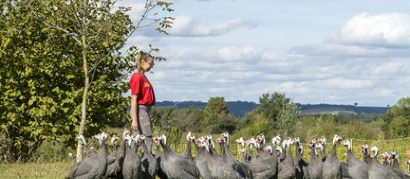 La Confédération paysanne communique suite aux élections professionnelles agricoles