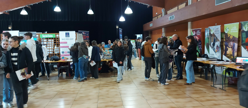 700 élèves préparent leur avenir sur le forum des formations !