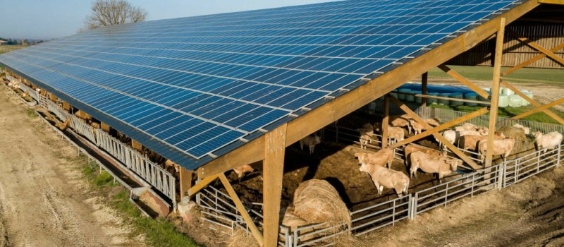 Baisse du tarif de rachat de l’énergie solaire : un coup insupportable pour les agriculteurs du Gers !